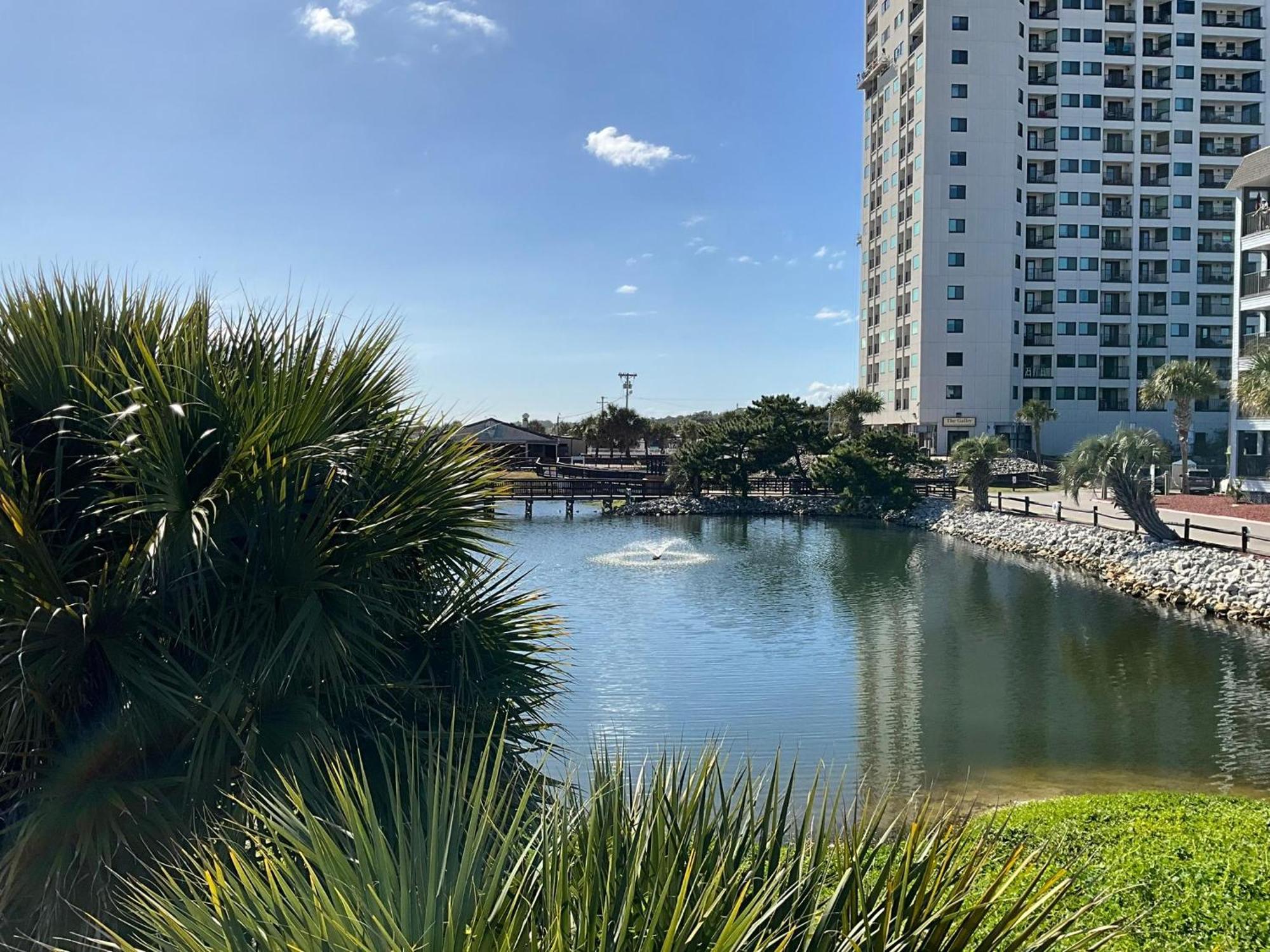5905 S Kings Hwy, 4203 - Ocean Walk Sleeps 4 Βίλα Μιρτλ Μπιτς Εξωτερικό φωτογραφία